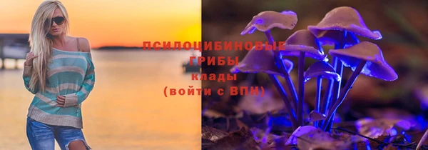 хмурый Кодинск