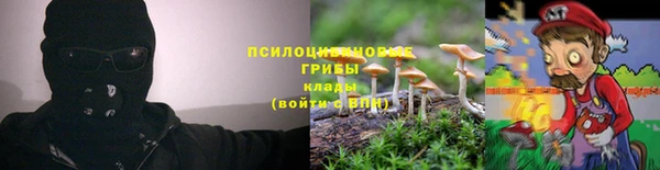 хмурый Кодинск