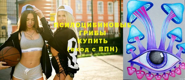 дмт Козловка