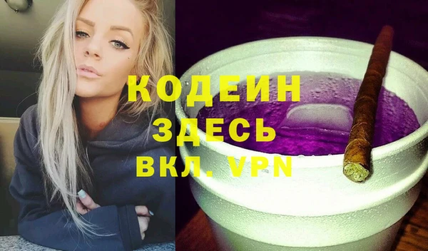 хмурый Кодинск