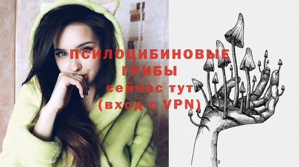 хмурый Кодинск