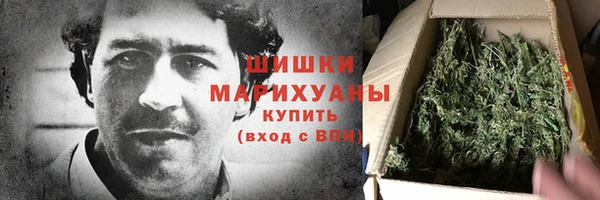 мдпв Козельск